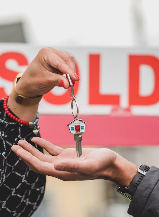 pexels-photo-8293738